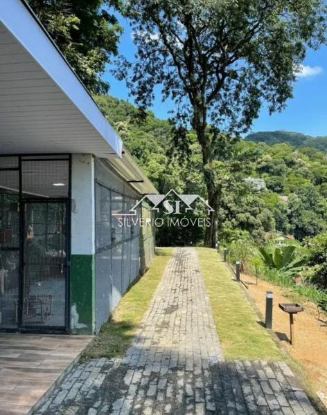 Sítio à venda com 3 quartos, 175m² - Foto 6