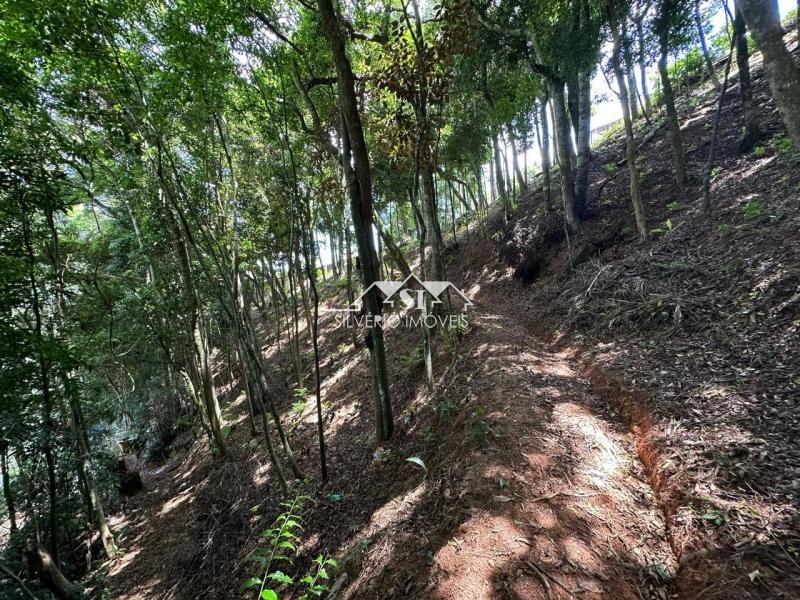 Terreno à venda, 1560m² - Foto 4