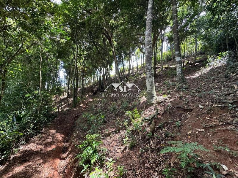 Terreno à venda, 1560m² - Foto 5