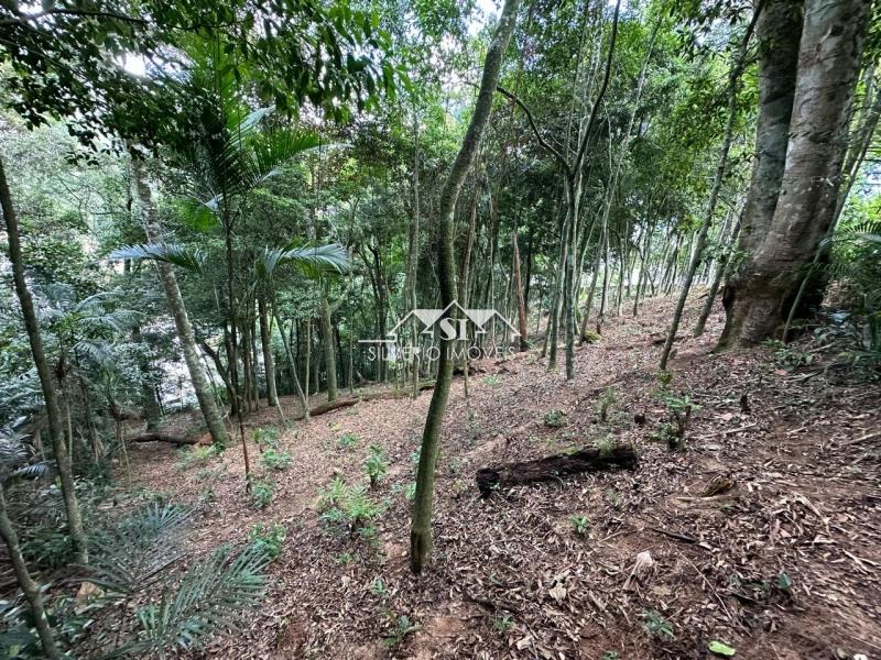 Terreno à venda, 1560m² - Foto 1