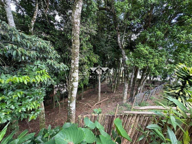 Terreno à venda, 1560m² - Foto 6