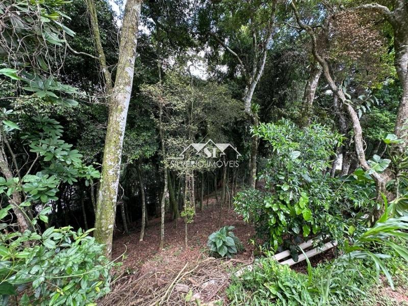 Terreno à venda, 1560m² - Foto 7
