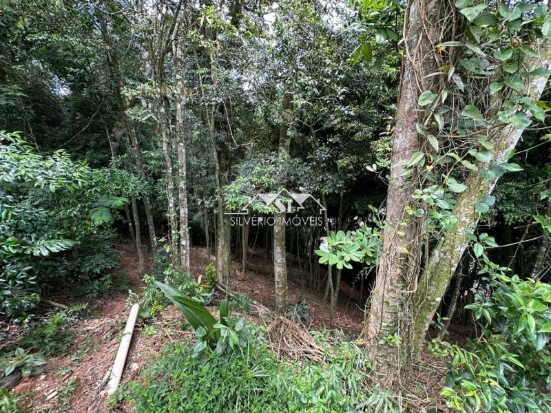 Terreno à venda, 1560m² - Foto 8