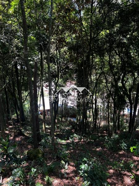Terreno à venda, 1560m² - Foto 9