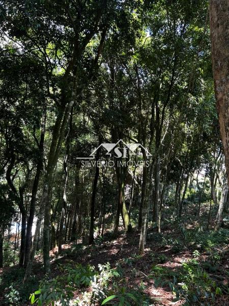 Terreno à venda, 1560m² - Foto 10