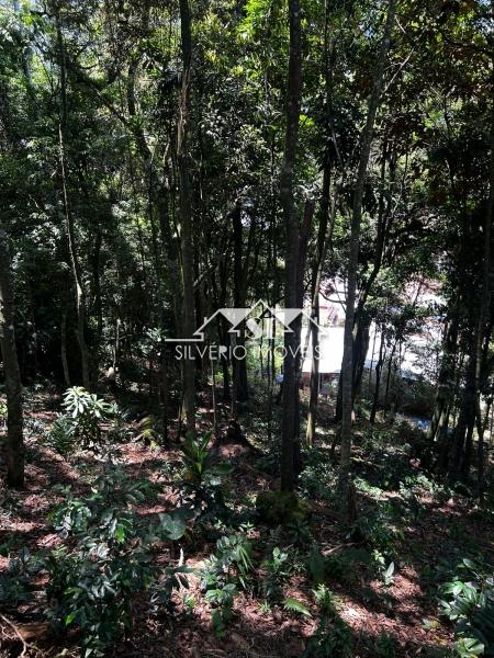 Terreno à venda, 1560m² - Foto 11