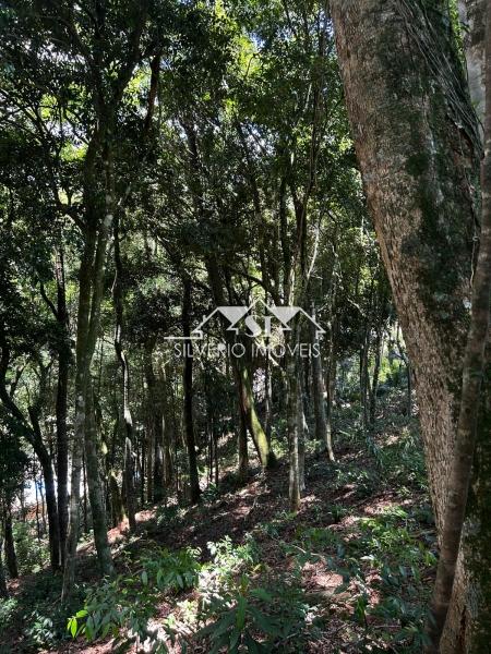 Terreno à venda, 1560m² - Foto 12