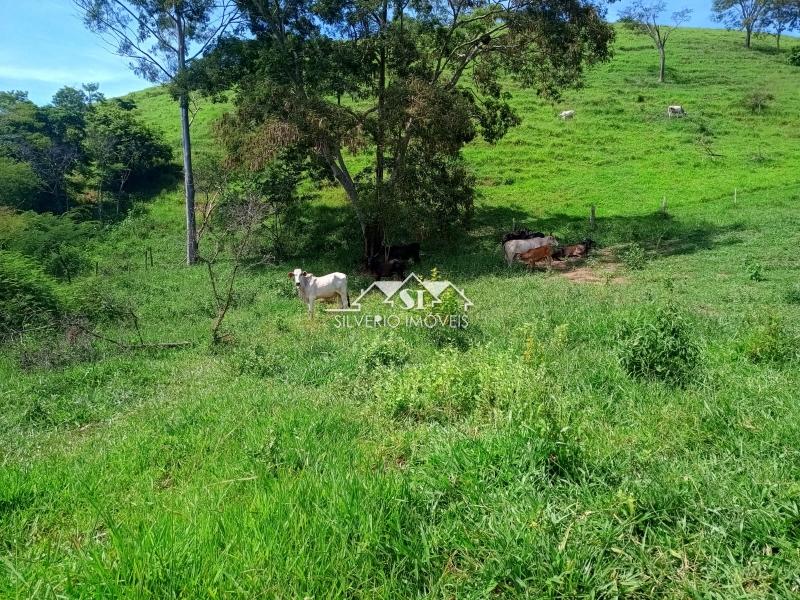 Fazenda / Sítio à venda em Paraiba do Sul, Paraíba do Sul - RJ