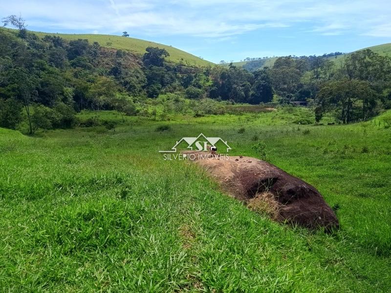 Fazenda / Sítio à venda em Paraiba do Sul, Paraíba do Sul - RJ - Foto 28