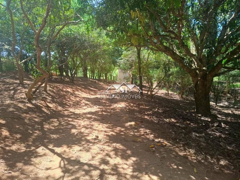 Fazenda / Sítio à venda em Paraiba do Sul, Paraíba do Sul - RJ - Foto 29