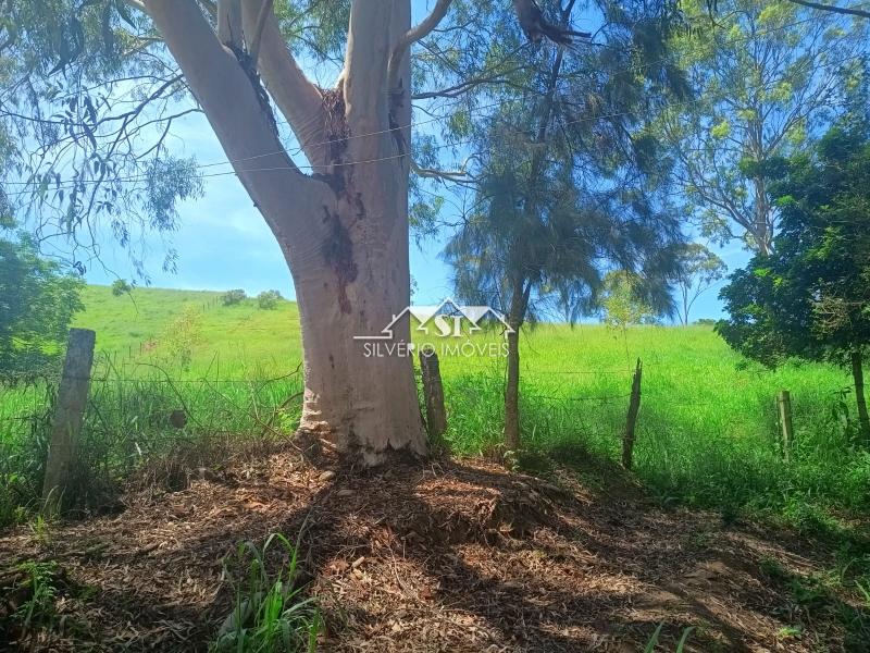 Fazenda / Sítio à venda em Paraiba do Sul, Paraíba do Sul - RJ - Foto 30
