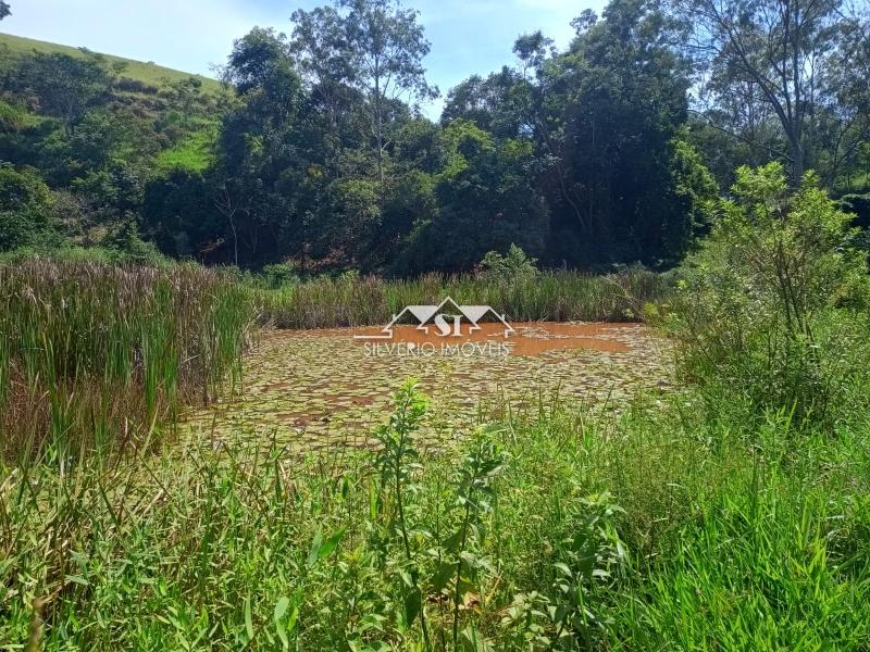 Fazenda / Sítio à venda em Paraiba do Sul, Paraíba do Sul - RJ - Foto 31