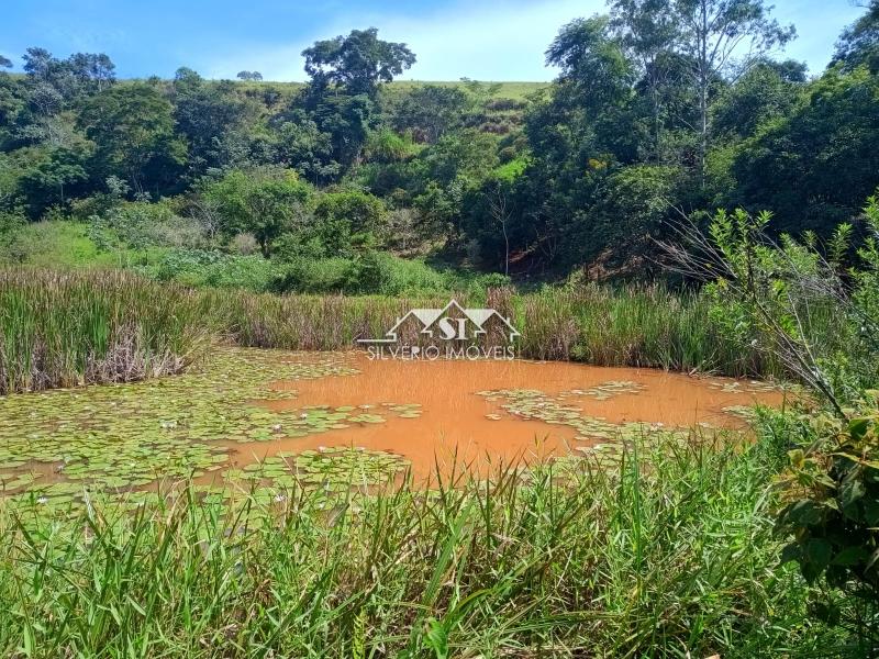 Fazenda / Sítio à venda em Paraiba do Sul, Paraíba do Sul - RJ - Foto 33