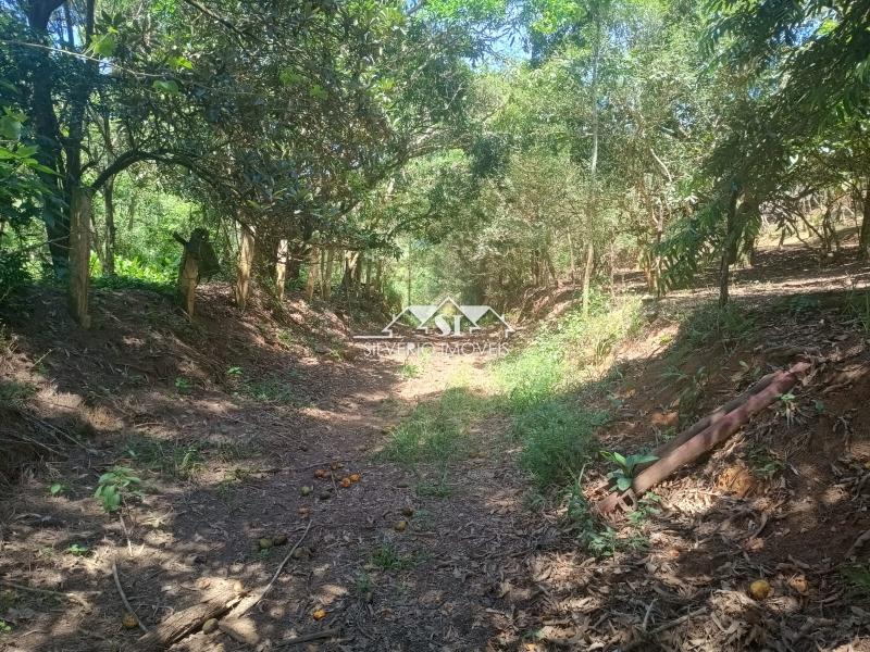 Fazenda / Sítio à venda em Paraiba do Sul, Paraíba do Sul - RJ - Foto 34