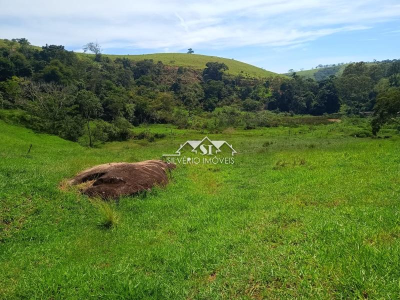 Fazenda / Sítio à venda em Paraiba do Sul, Paraíba do Sul - RJ - Foto 36
