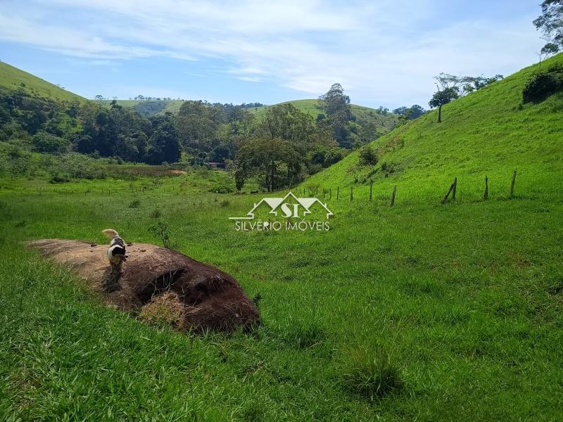 Fazenda / Sítio à venda em Paraiba do Sul, Paraíba do Sul - RJ - Foto 39