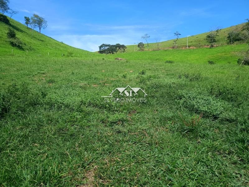 Fazenda / Sítio à venda em Paraiba do Sul, Paraíba do Sul - RJ - Foto 40