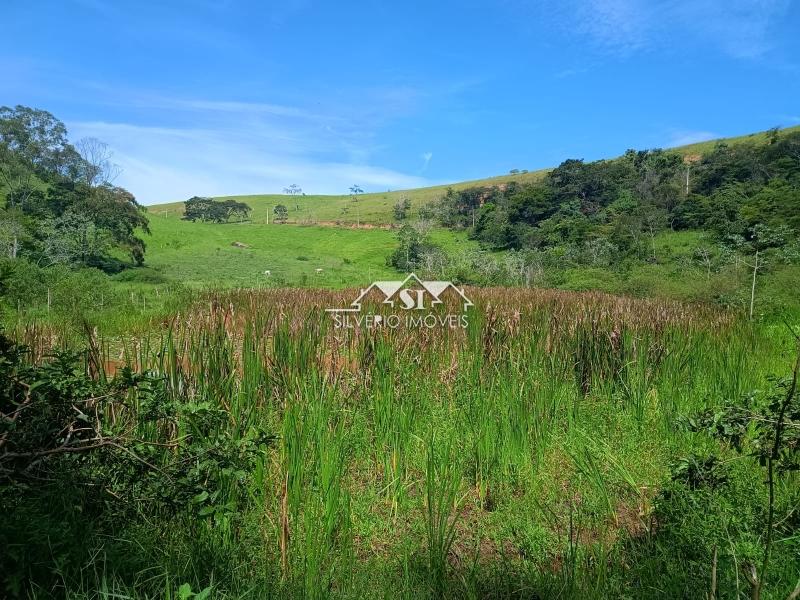 Fazenda / Sítio à venda em Paraiba do Sul, Paraíba do Sul - RJ - Foto 47