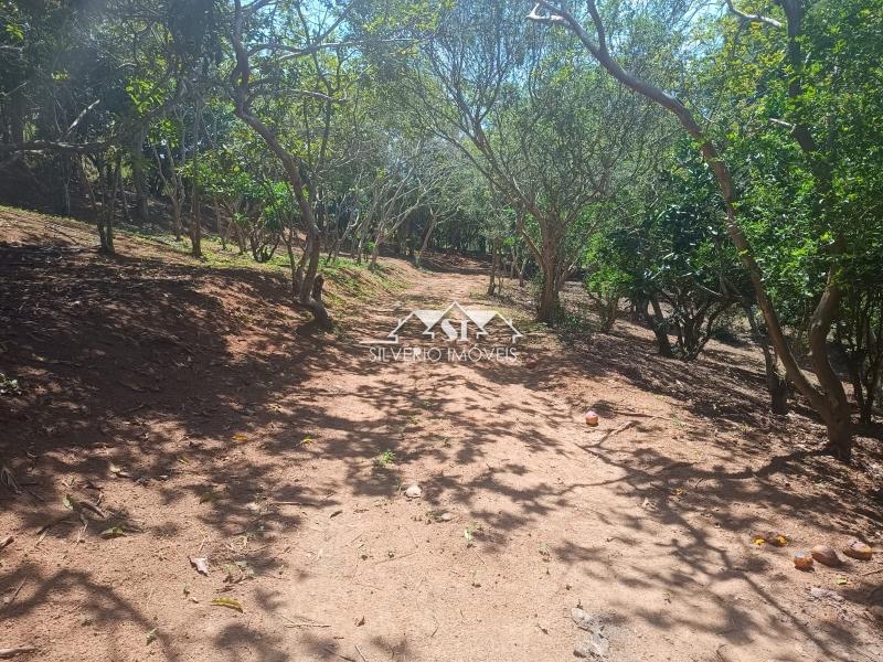 Fazenda / Sítio à venda em Paraiba do Sul, Paraíba do Sul - RJ - Foto 38