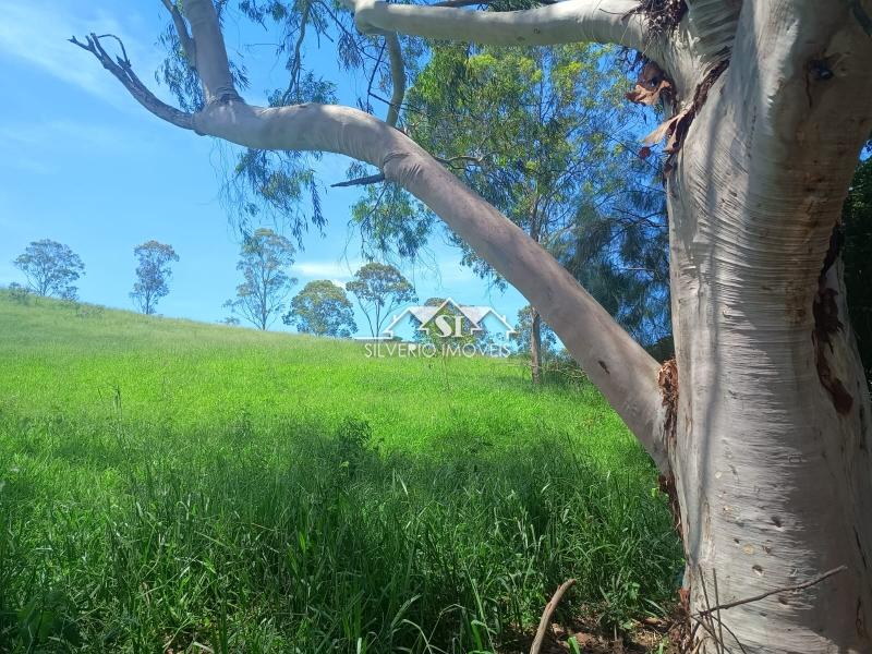 Fazenda / Sítio à venda em Paraiba do Sul, Paraíba do Sul - RJ - Foto 3
