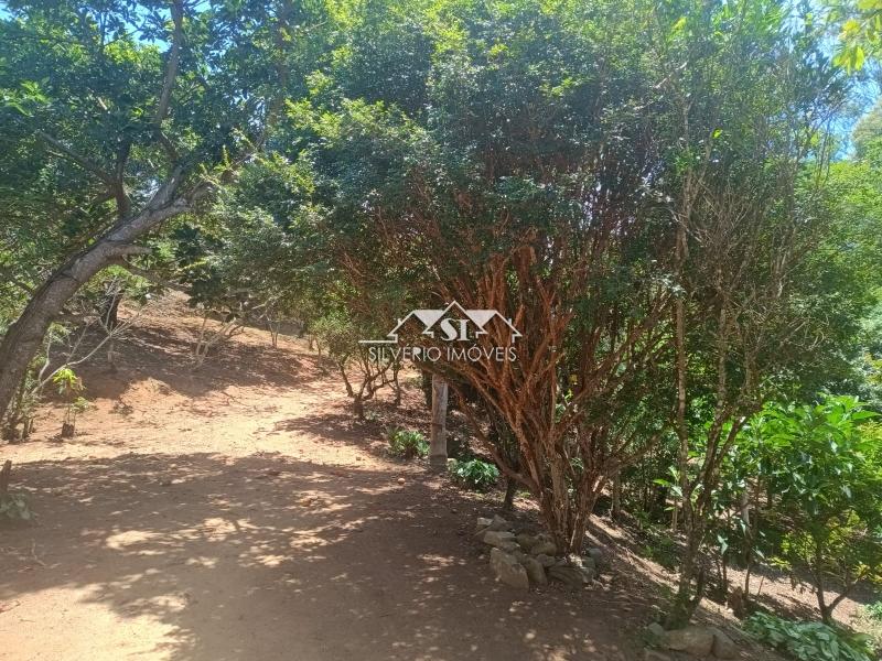 Fazenda / Sítio à venda em Paraiba do Sul, Paraíba do Sul - RJ - Foto 4