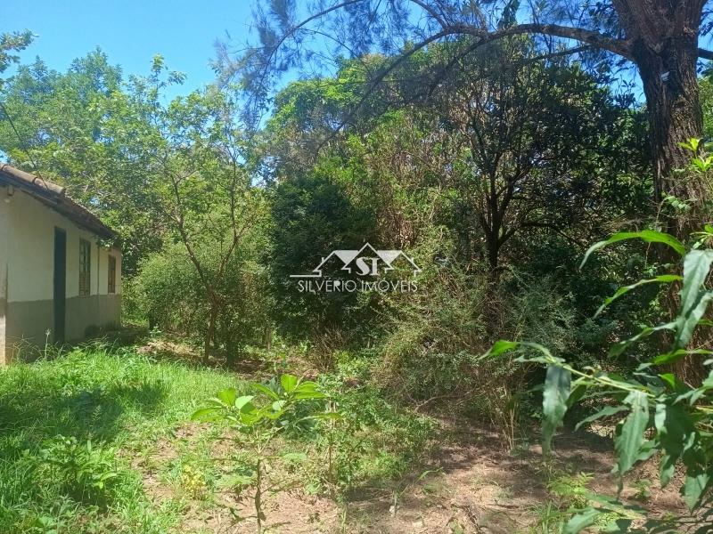 Fazenda / Sítio à venda em Paraiba do Sul, Paraíba do Sul - RJ - Foto 5