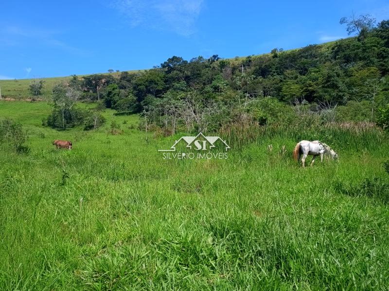 Fazenda / Sítio à venda em Paraiba do Sul, Paraíba do Sul - RJ - Foto 6