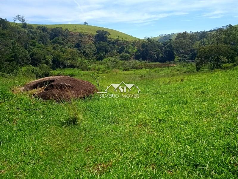 Fazenda / Sítio à venda em Paraiba do Sul, Paraíba do Sul - RJ - Foto 7