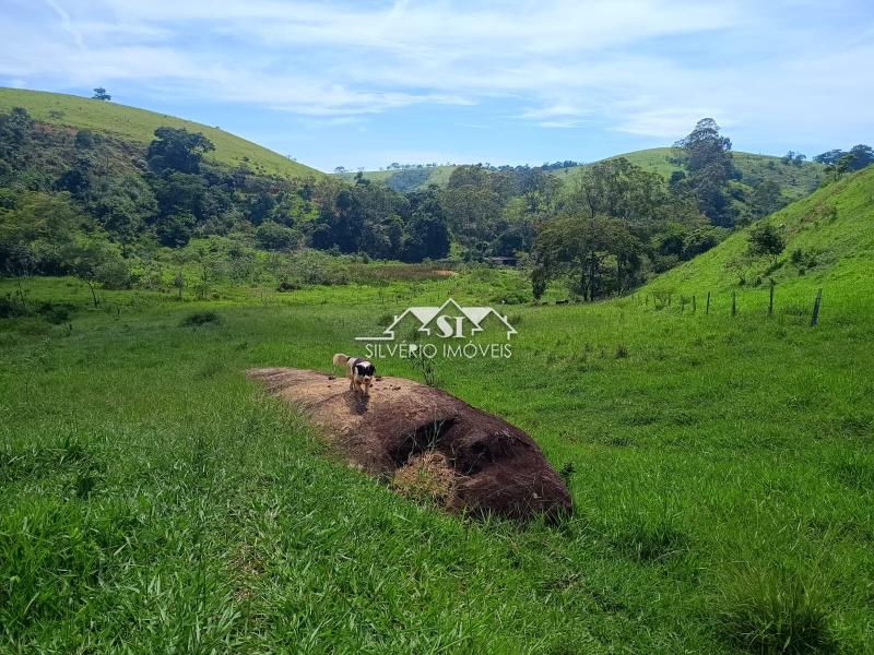 Fazenda / Sítio à venda em Paraiba do Sul, Paraíba do Sul - RJ - Foto 8