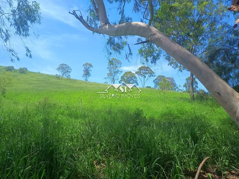 Fazenda / Sítio à venda em Paraiba do Sul, Paraíba do Sul - RJ - Foto 11