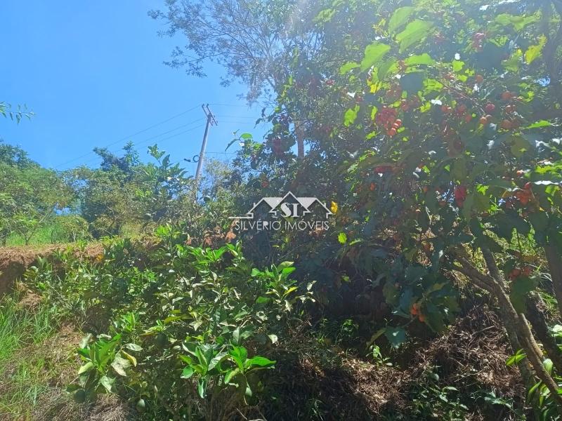 Fazenda / Sítio à venda em Paraiba do Sul, Paraíba do Sul - RJ - Foto 13