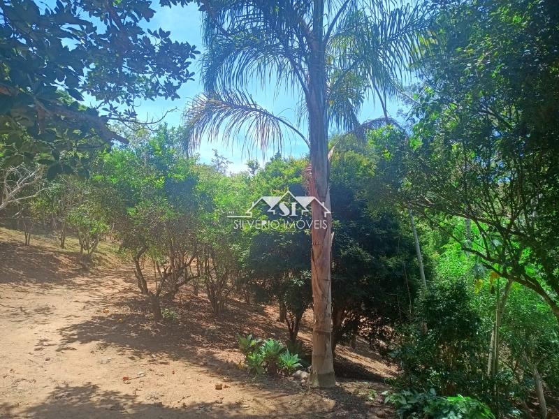 Fazenda / Sítio à venda em Paraiba do Sul, Paraíba do Sul - RJ - Foto 2