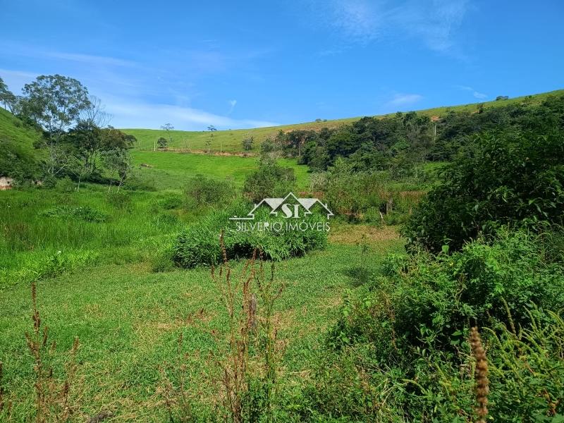 Fazenda / Sítio à venda em Paraiba do Sul, Paraíba do Sul - RJ - Foto 18