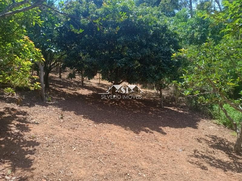 Fazenda / Sítio à venda em Paraiba do Sul, Paraíba do Sul - RJ - Foto 21