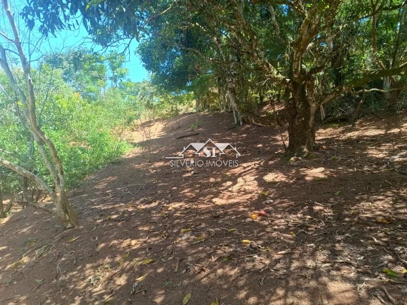 Fazenda / Sítio à venda em Paraiba do Sul, Paraíba do Sul - RJ - Foto 23