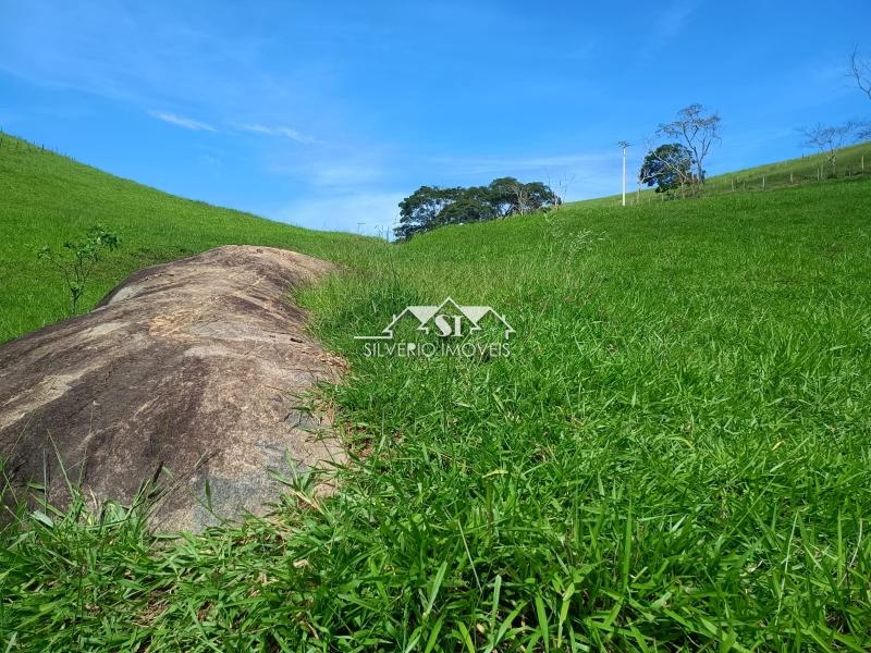 Fazenda / Sítio à venda em Paraiba do Sul, Paraíba do Sul - RJ - Foto 24