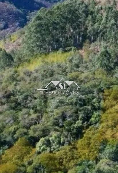 Terreno Residencial à venda em Samambaia, Petrópolis - RJ - Foto 2