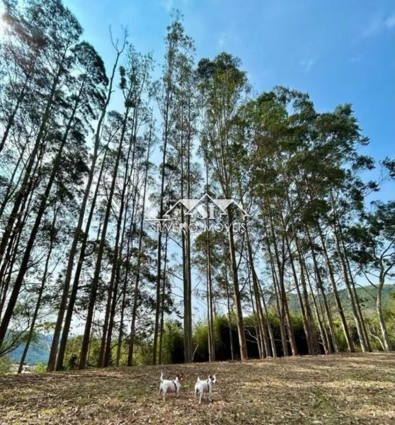 Terreno Residencial à venda em Samambaia, Petrópolis - RJ - Foto 7
