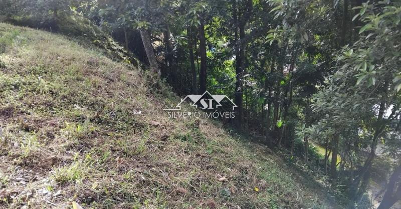 Terreno à venda, 650m² - Foto 6