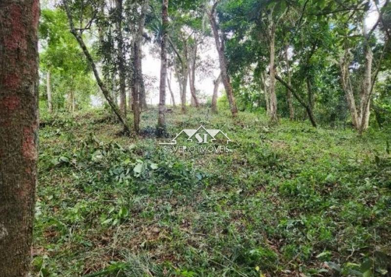 Terreno Residencial à venda em Caxambú, Petrópolis - RJ - Foto 2