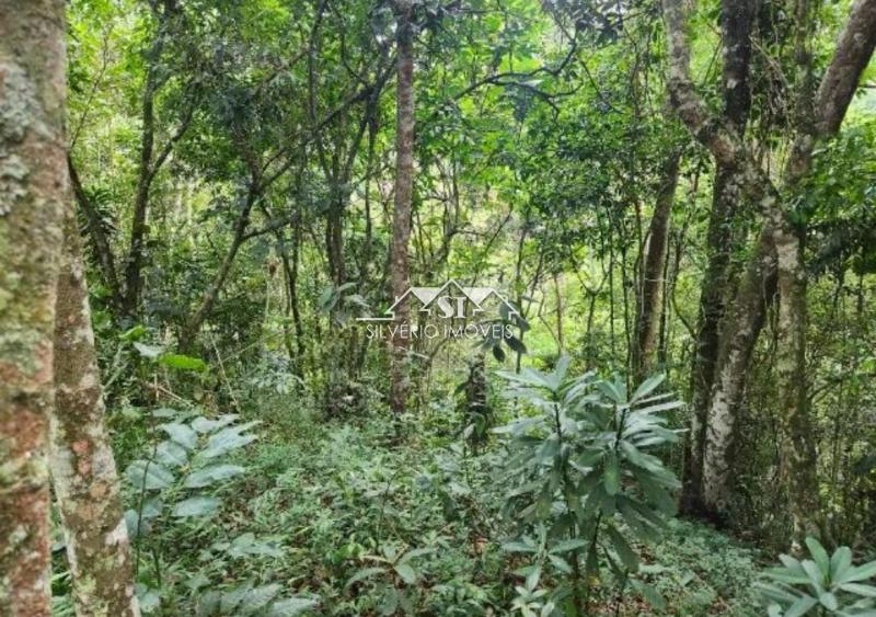 Terreno Residencial à venda em Caxambú, Petrópolis - RJ - Foto 3