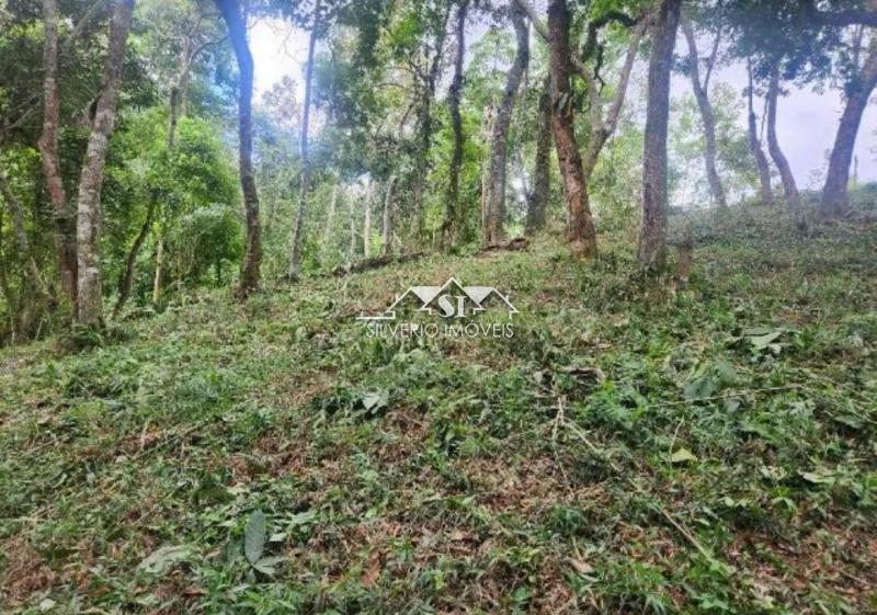 Terreno Residencial à venda em Caxambú, Petrópolis - RJ - Foto 4