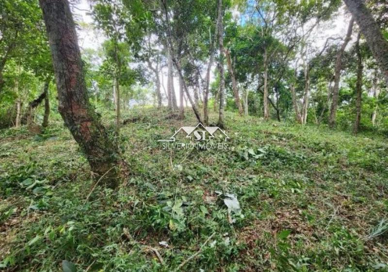 Terreno Residencial à venda em Caxambú, Petrópolis - RJ - Foto 6