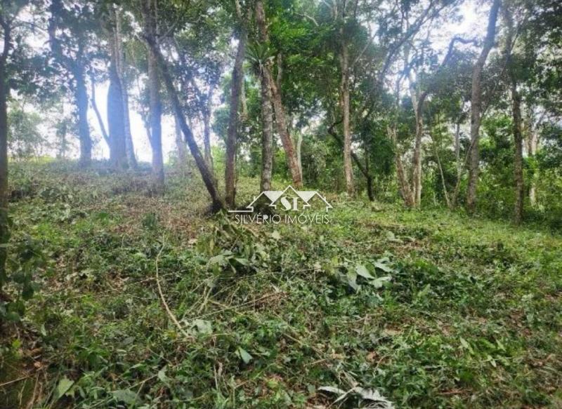Terreno Residencial à venda em Caxambú, Petrópolis - RJ - Foto 7