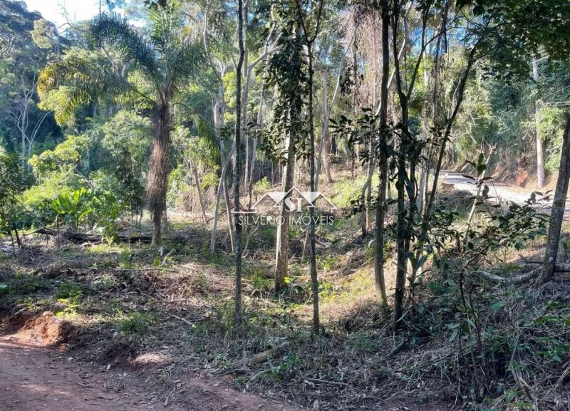 Terreno à venda, 1334m² - Foto 2