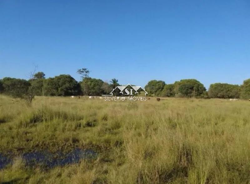 Terreno à venda, 380000m² - Foto 3