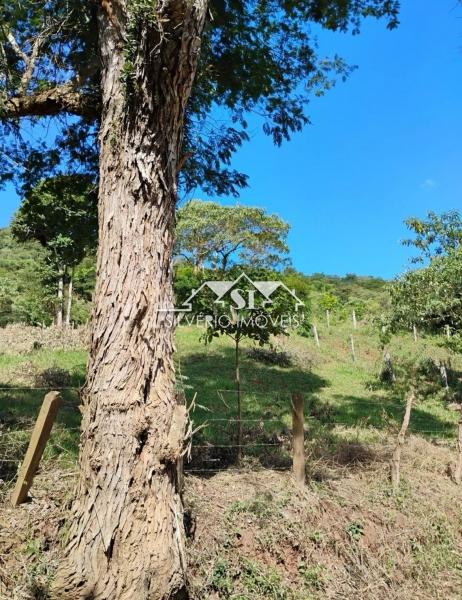 Terreno Residencial à venda em Araras, Petrópolis - RJ - Foto 2