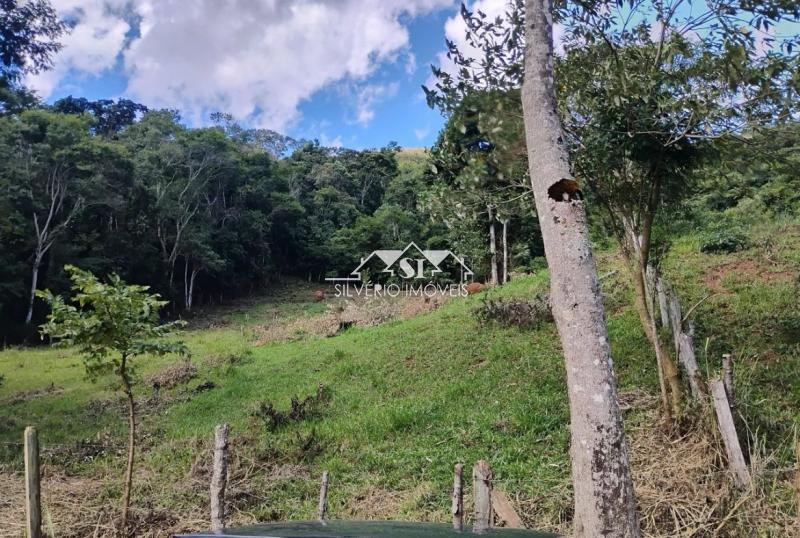 Terreno Residencial à venda em Araras, Petrópolis - RJ - Foto 6