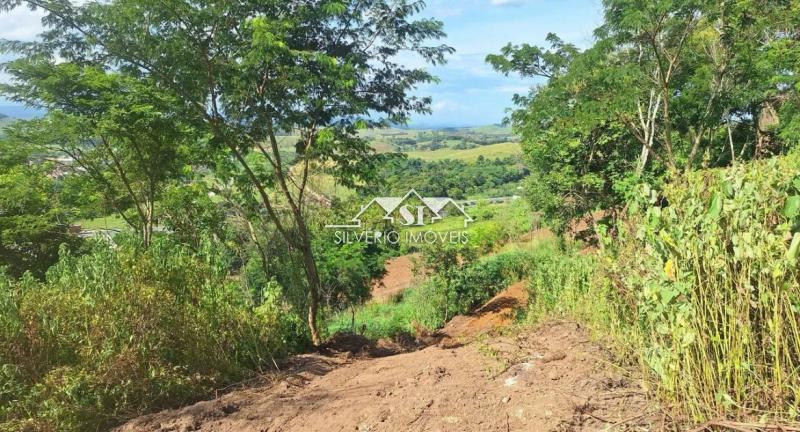Sítio à venda com 3 quartos, 350m² - Foto 7