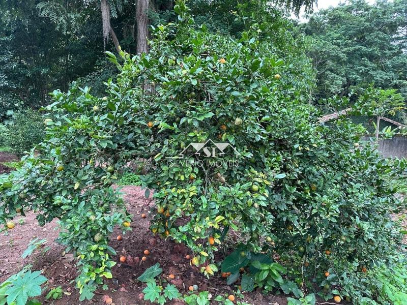Terreno à venda, 2070m² - Foto 5